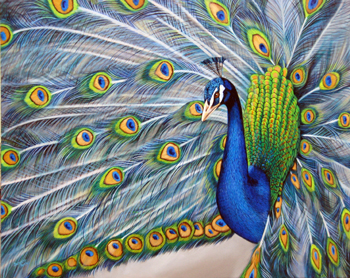 Fanfare by Susanna Pantas